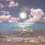 Avatar de Simón Gallardo